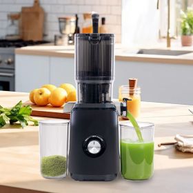 Cold juicer, chewable juicer, wide feeding trough for easy cleaning, suitable for whole vegetables and fruits (Color: Black)
